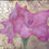Thumbnail: Glaïeuls / Gladioli Peinture Originale