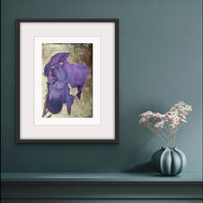 Impression Giclée
Giclée Print
2 taille disponible