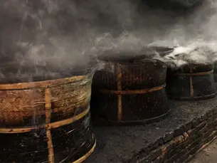The Accidental Invention: How Wuyi Mountain Birthed Black Tea
