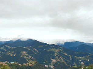 A Journey to the Clouds: The Making and Taste of Taiwan High Mountain Oolong