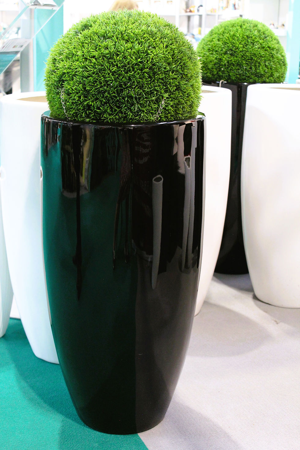 Thumbnail: Black Vase fibreglass planter with a ball plant