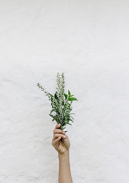 Herbs