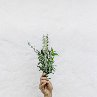 Herbs