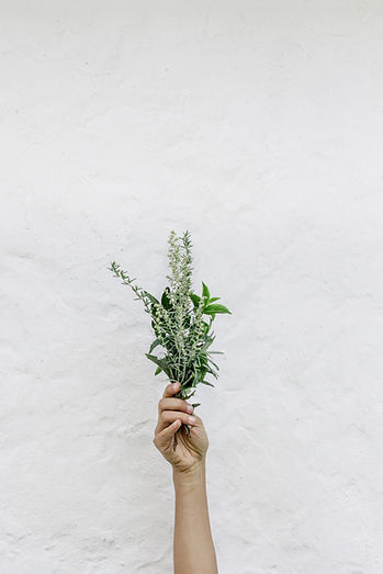Herbs