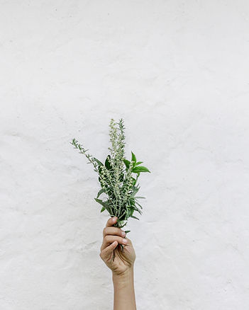Herbs