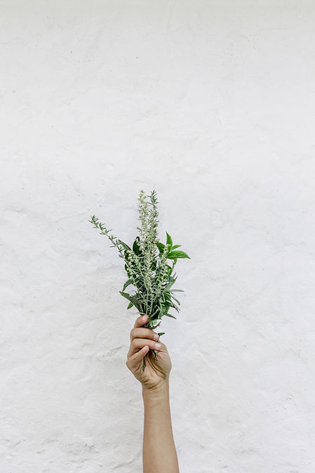 Herbs