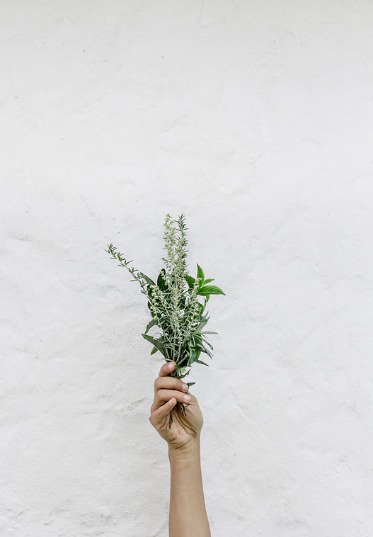 Herbs