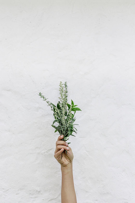Herbs