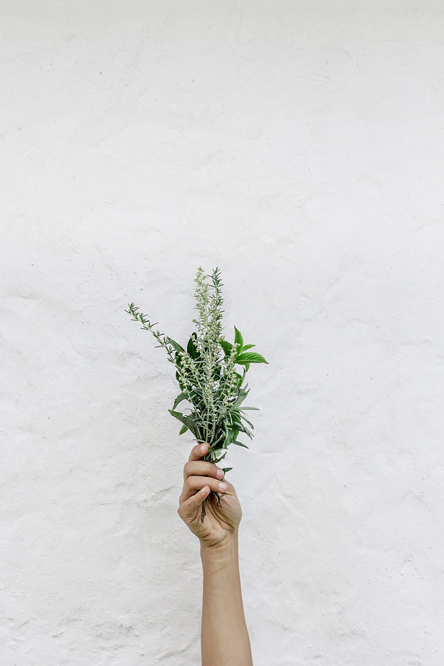Herbes