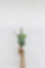 Herbs