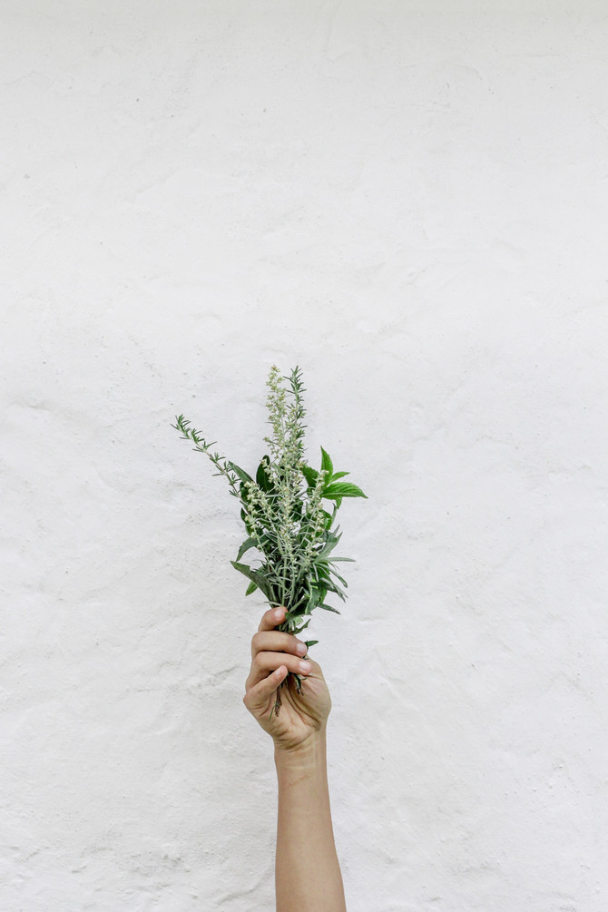 Essential Oils...How do they work?