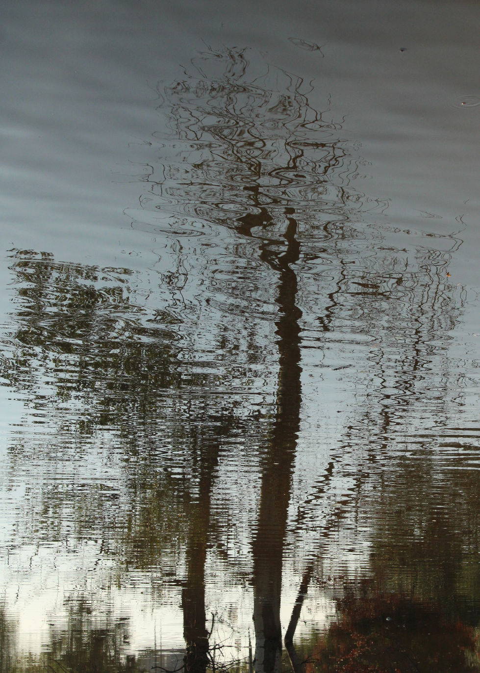 Dissolution I