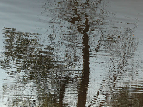 Dissolution