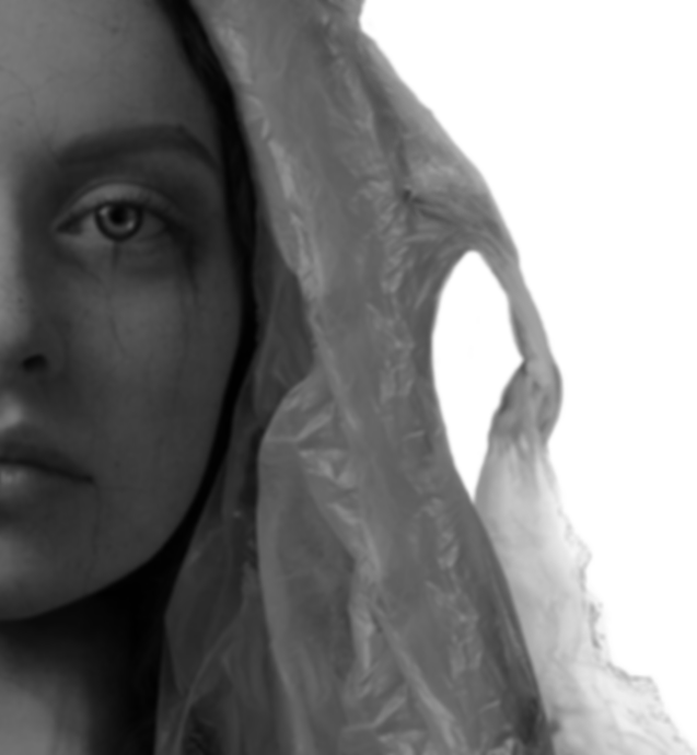 Paula Rosa Art. Artist website