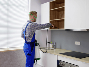 pest control technician applying solutions in home