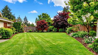 Landscape Company Boalsburg: What to Look for in a Premium Provider