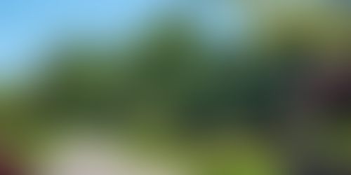 How Much Does High-End Landscaping Cost in Boalsburg, PA?