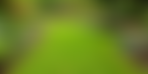 How to Choose a High-End Landscape Company in Boalsburg, PA