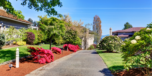 Commercial Landscaping Services in Boalsburg PA: What Businesses Need to Know