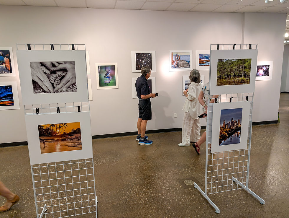 Lone Star College Exhibition Deadline
