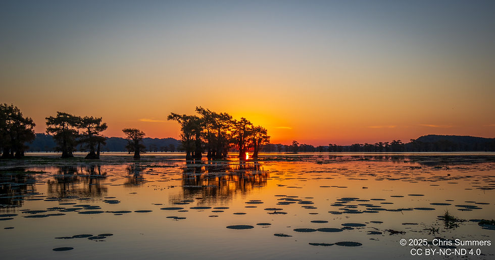 Caddo Lake Multi-day Trip Scheduled For November! 