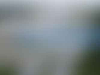 Harris County Precinct 3 Bus Trips