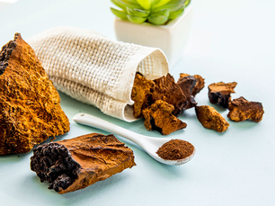 Combined Power of Chaga Mushroom with Shilajit, CoQ10 and Sea Moss- Greendorse's Anti-aging and Adaptogen Supplement