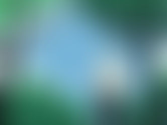 Marks of Maturity – Experience Made Manifest