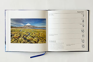 WPY_DIary_26_int.jpg
