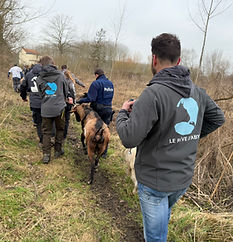 SAISIE DE 24 CHÈVRES CHEZ UN MULTIRÉCIDIVISTE