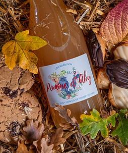 Capture d’écran 2025-11-08 à 21.25.07.png