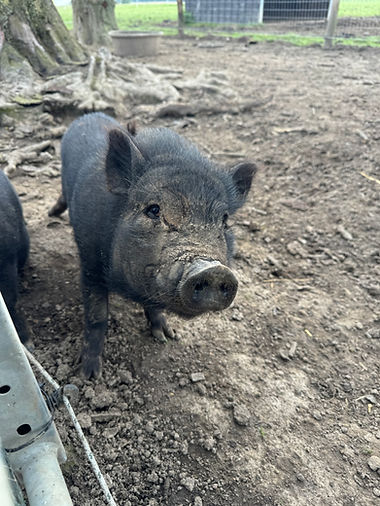 240803 - Martinpar Kim (tiers)4.jpeg