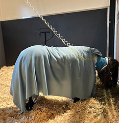 DEUXIÈME HOSPITALISATION POUR UN RESCAPÉ
DE CHASTRE