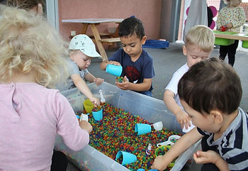 nestsommer1.jpg