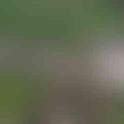 Produktionsstätte von Ensinger von oben fotografiert