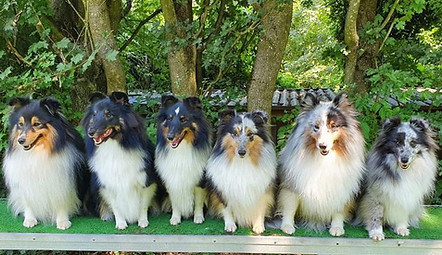 Familien Foto.jpg
