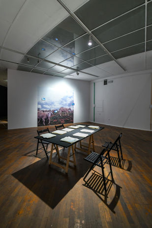 Copy of DSC_6241-2.jpg