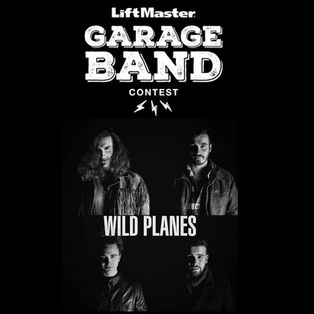 VOTE FOR WILD PLANES!!