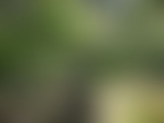 What's it like to experience counselling?