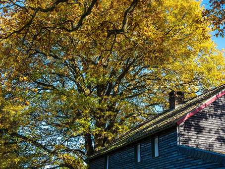 Buying and Selling in the Fall Is Different Than in Other Seasons