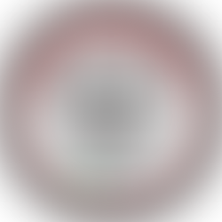 Girl Scouts and Gray Panthers NYC Unite to Launch “Age and Youth in Action” Patch, Bridging Generations Through Community and Activism