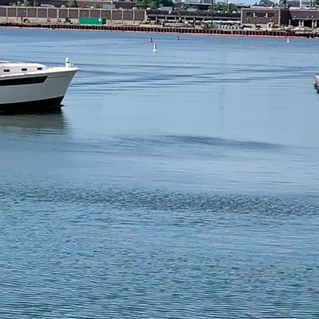 FenderBuckets, Protecting those Beautiful MJM Encore Casino Shuttle Boats