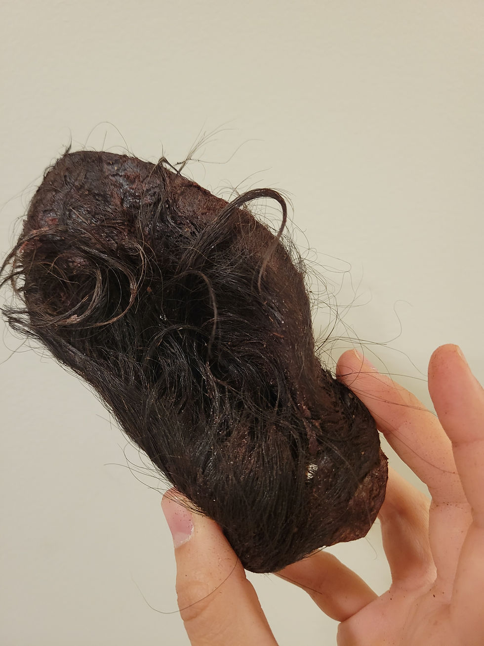 Thumbnail: Rawsome Bison Ear (1ct)
