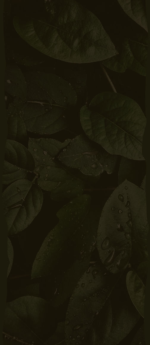 DAW WEBPAGINA ACHTERGROND.jpg