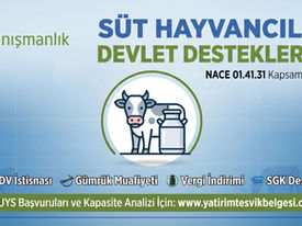 süt hayvancılığı teşvik