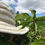 Miniature : Brisa