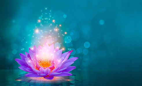 Adjusted_lotus-pink-light-purple-floating-light-sparkle-purple-background (1) copy.jpg