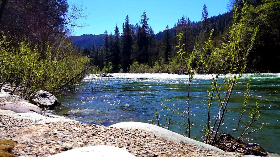 Fiddle Creek Campground