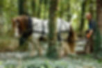 thumbnail_-U7A8079.jpg