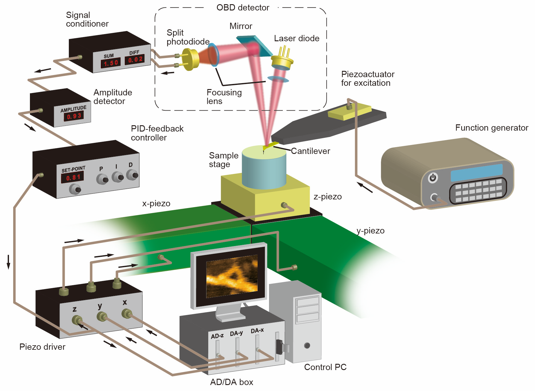 HS-AFM-Schematics.gif